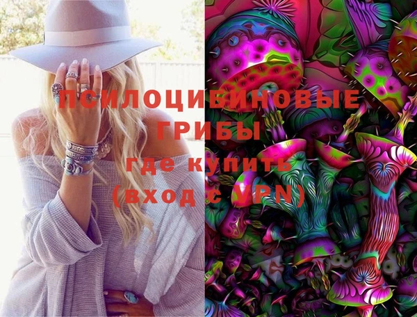 марки lsd Богданович