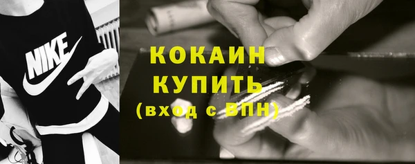 сатива Белоозёрский