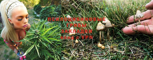 марки lsd Богданович