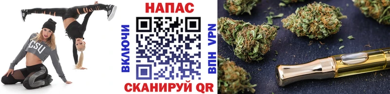 Бошки марихуана сатива  Свободный 